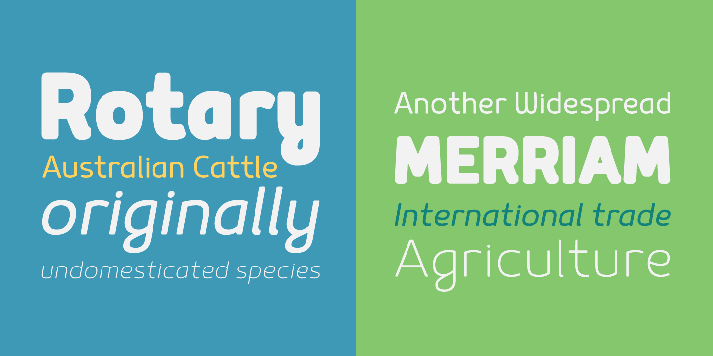 Mairy Medium Font preview